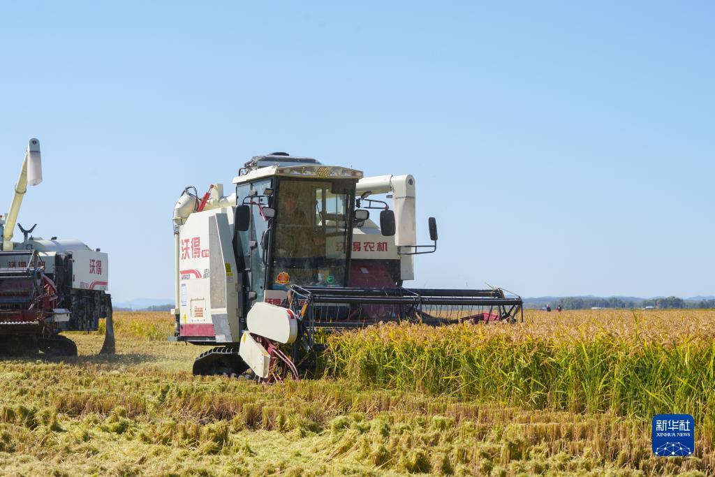 注册送38满100可提现